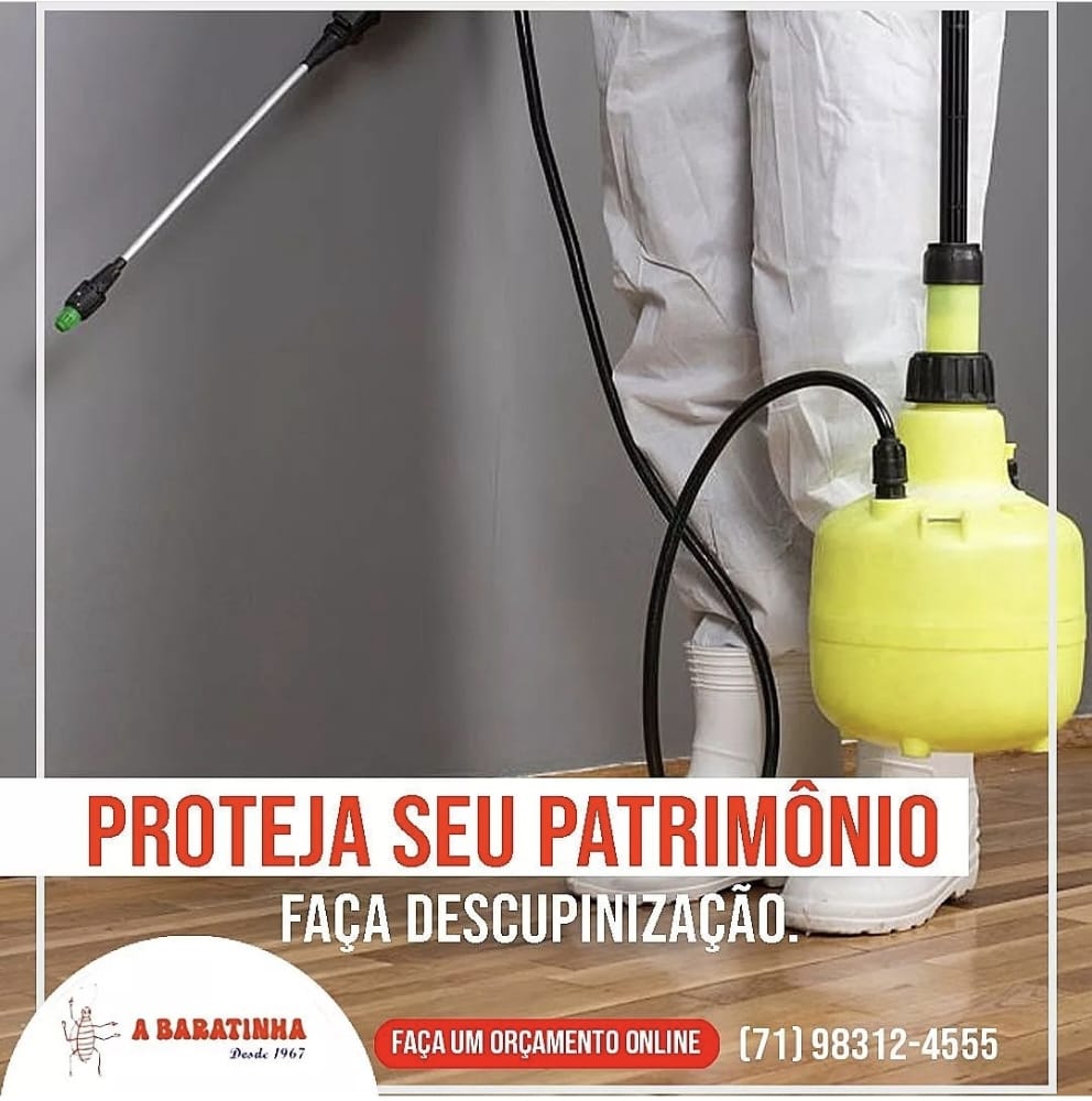 A BARATINHA ORÇAMENTO 71983124555