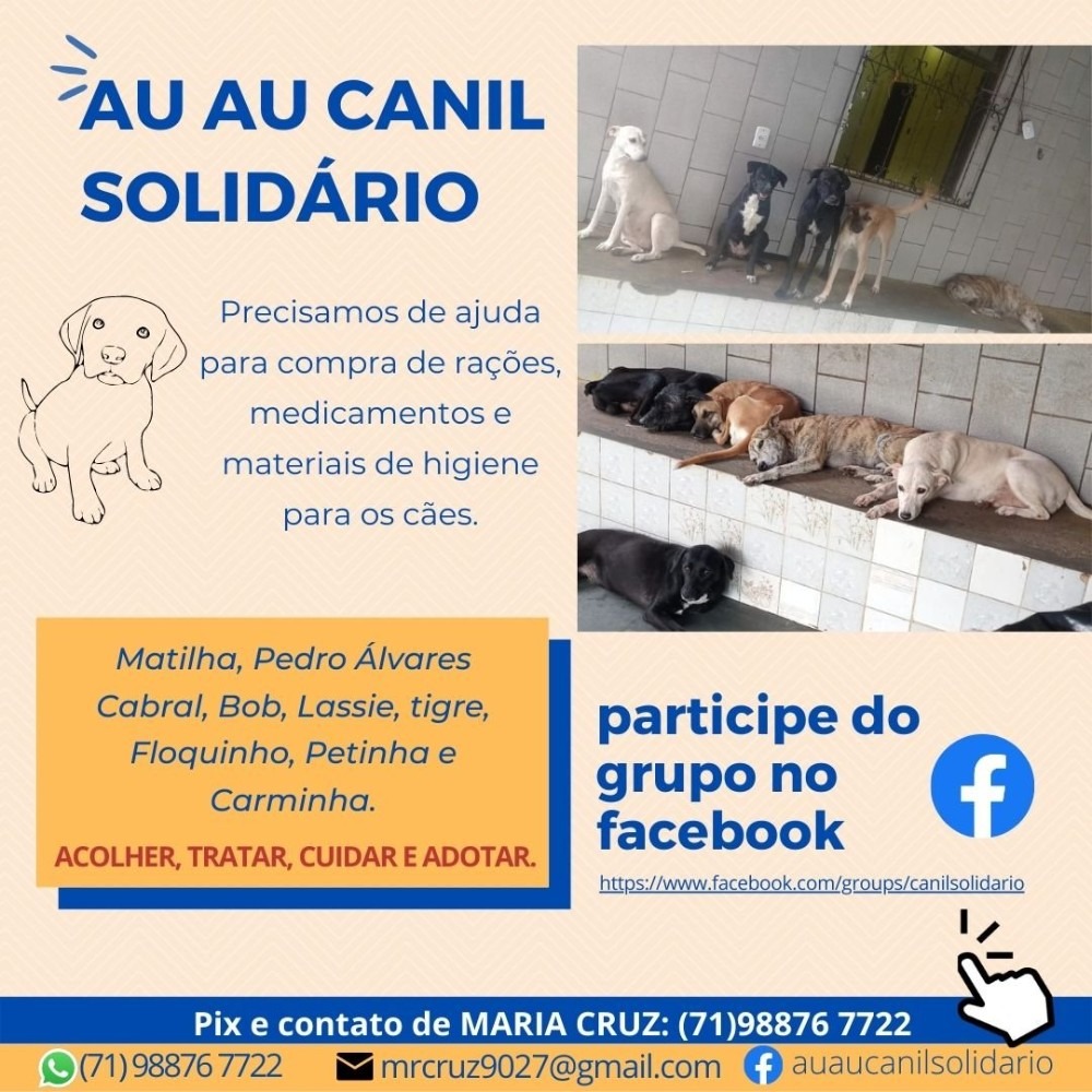 AU AU CANIL SOLIDÁRIO : https://www.instagram.com/auaucanilsolidario/?hl=pt. ESTAMOS COM ESTQUE ZERO. ESCOTEIROS : Quer participar deste excelente grupo imeditamente e ajudar os cães de rua ?  Então faça uma Doação de R$5,00 real PIX mrcruz9072@gmail.com BB MARIA CRUZ. Este valor é para  compra de rações.