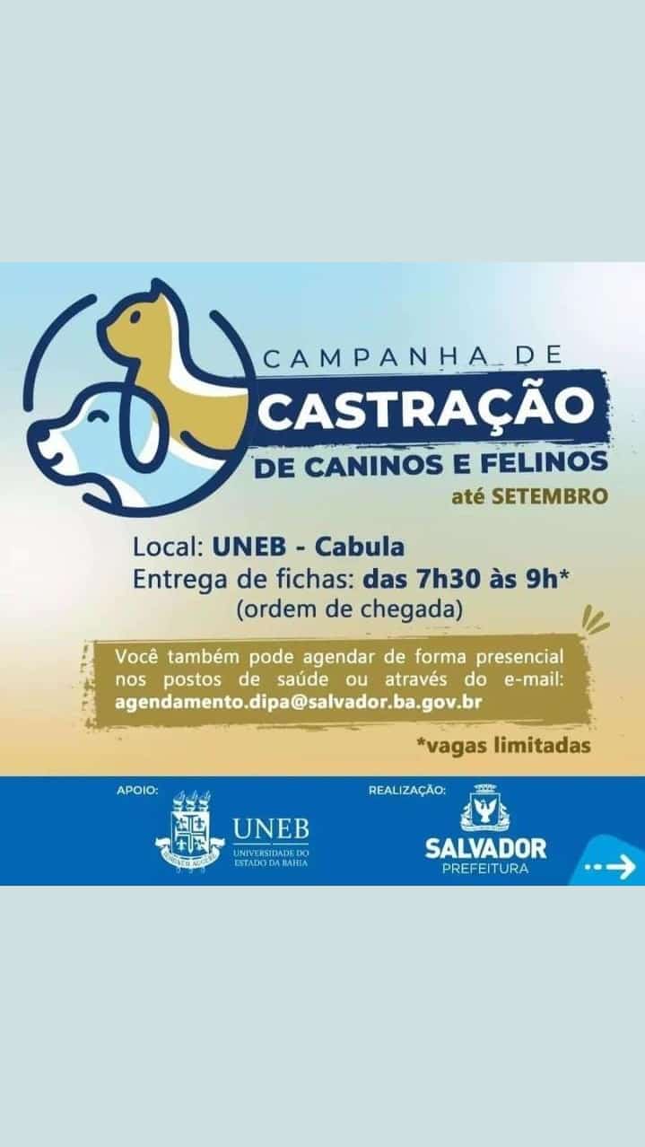 CASTRAÇÃO DE PETS : UNEB UNIVERDIDADE DO ESTADO DA BAHIA CAMPUS CABULA SALVADOR BAHIA