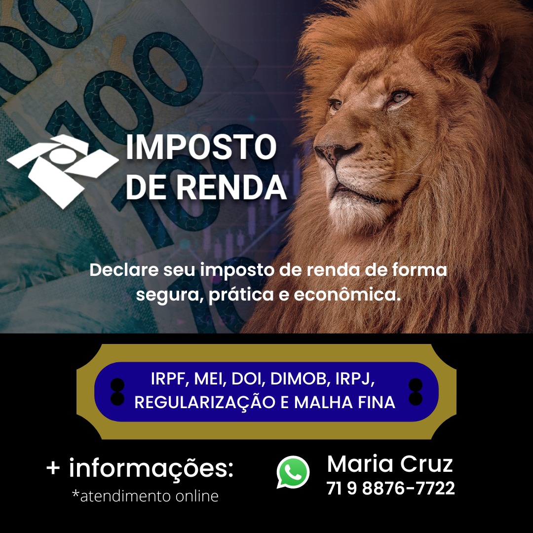 FAÇA SEU IMPOSTO DE RENDA ON LINE, MEI, IRPF, DOI, DIMOB, IMOBILIÁRIO, MALHA FINA , ETC  E RELAXE