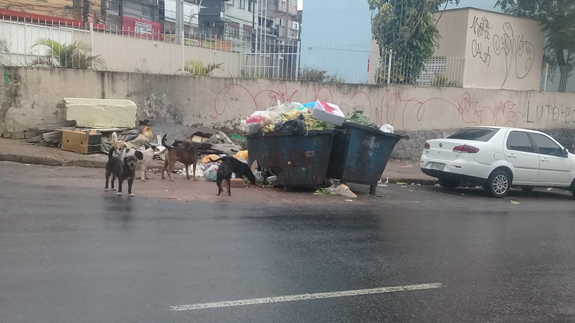 ASSISTA  A LIVE DE MARIA CRUZ  LIVRO 2 EM PROL DA SOLIDARIEDADE HUMANA , ESPECIAL PETS CÃES DE RUA . PIX E CONTATO DE AJUDA 71988767722